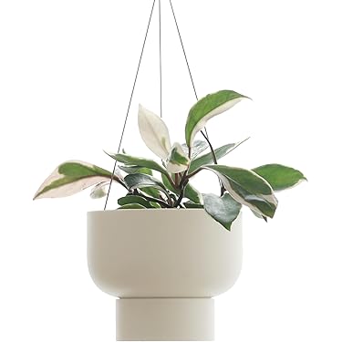 ✦バルコニー ハンギングプランター フラワースタンド 植木鉢 ホワイト 在庫処分】バルコニー 手すり ベランダ 植木鉢 プランターラック